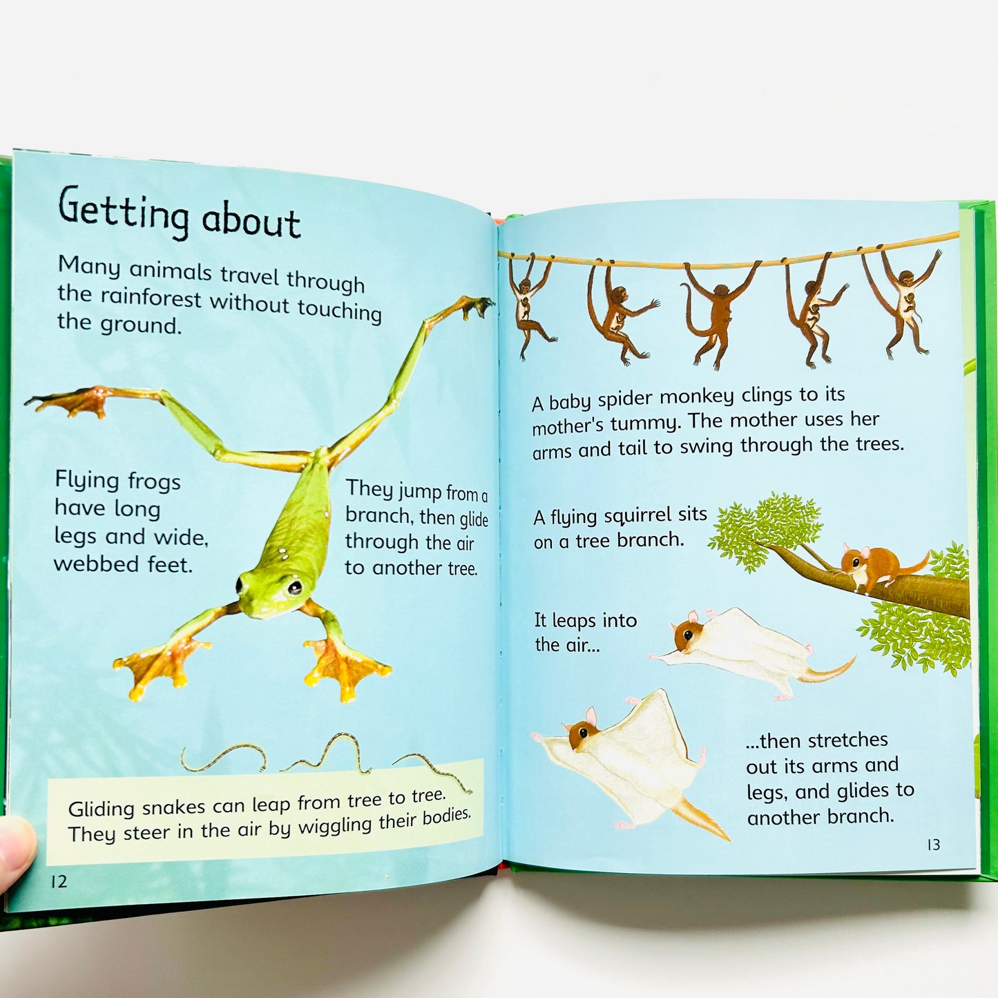 Usborne Beginners: Rainforests