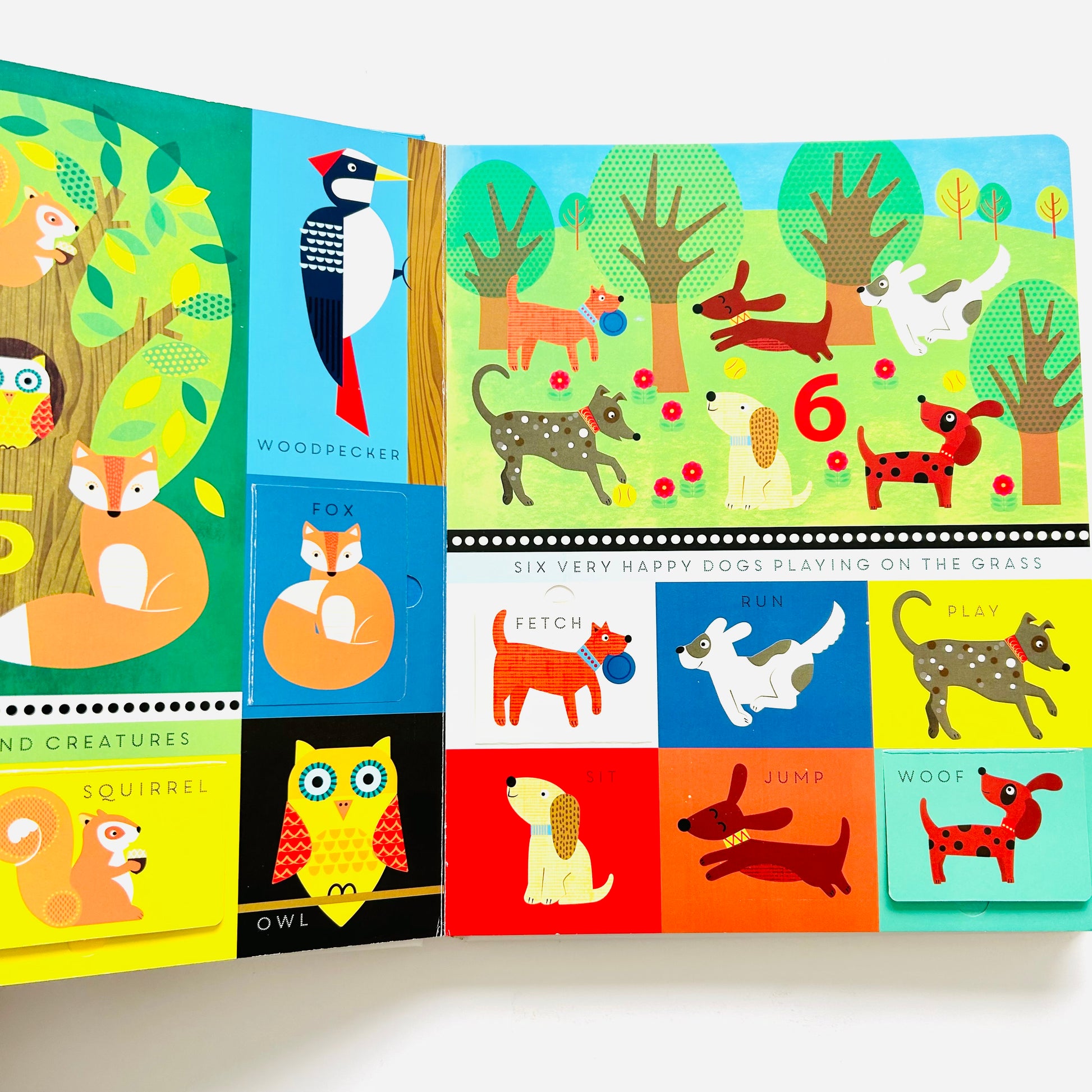 Numbers – Carousel Kids Books