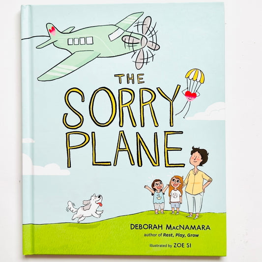 The Sorry Plane