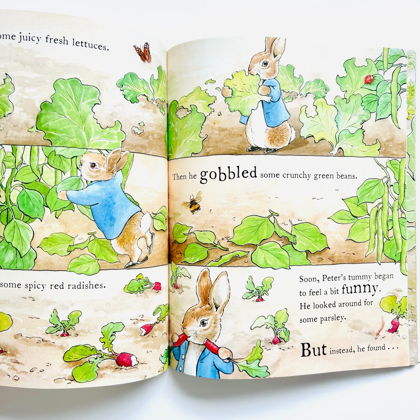 The Tale of a Naughty Little Rabbit