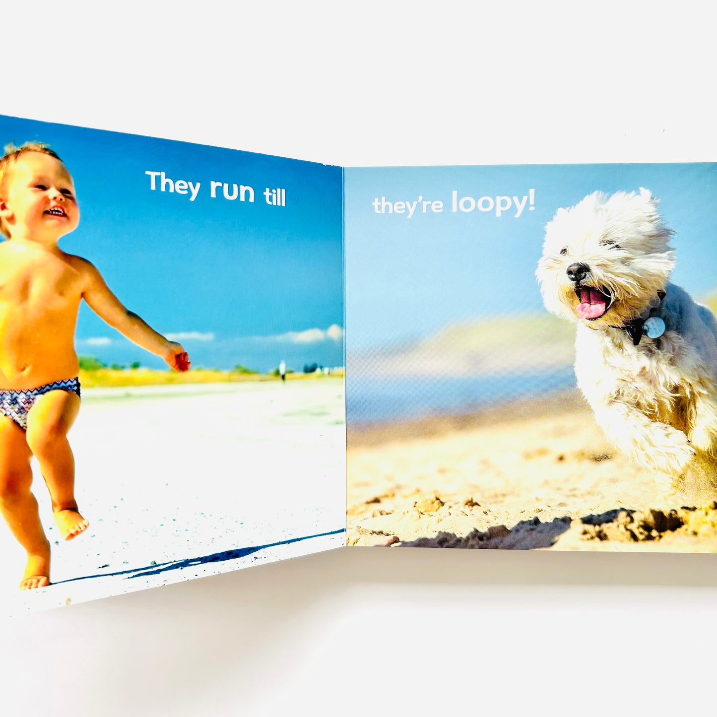 The Babies and Doggies Book