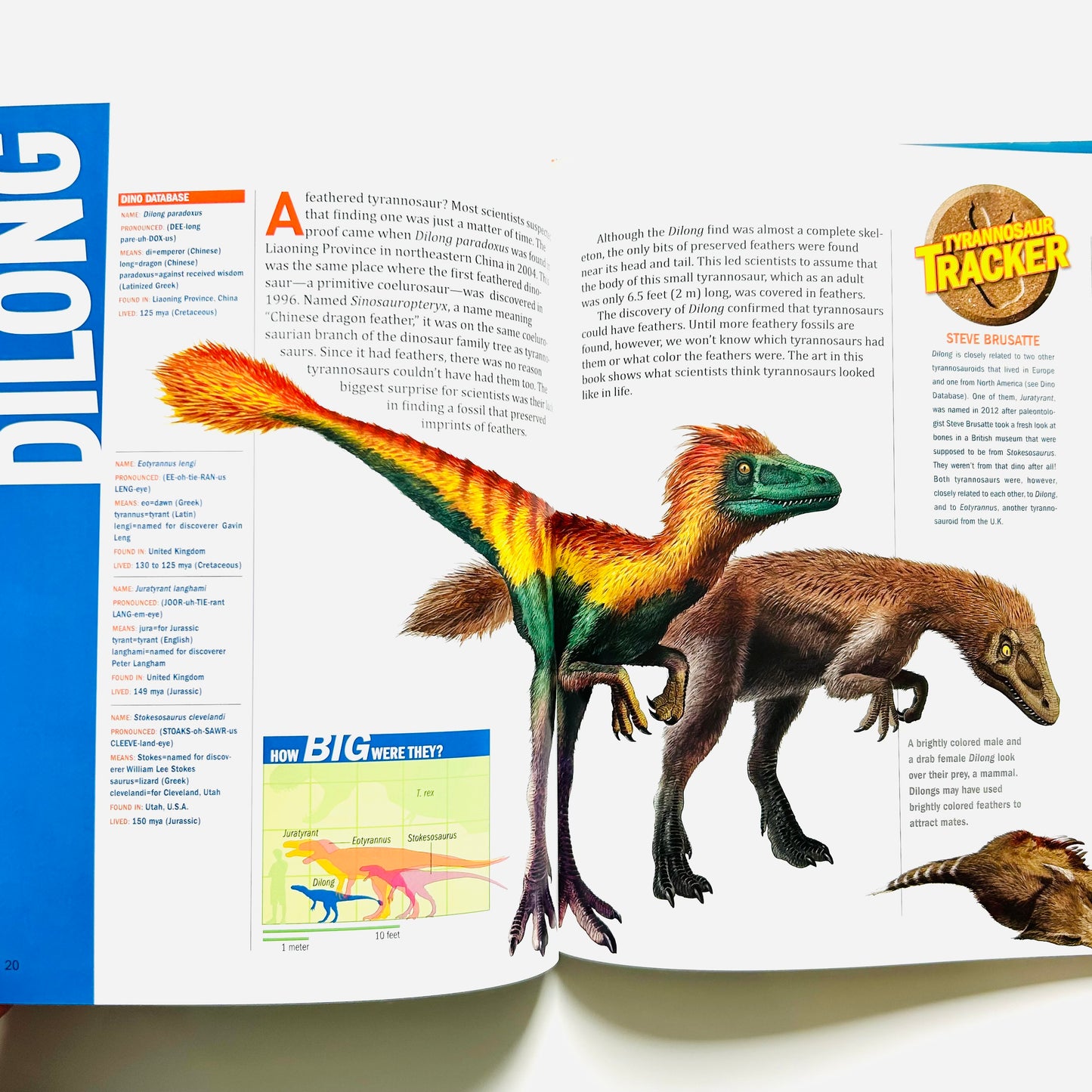 National Geographic Kids: Tracking Tyrannosaurs