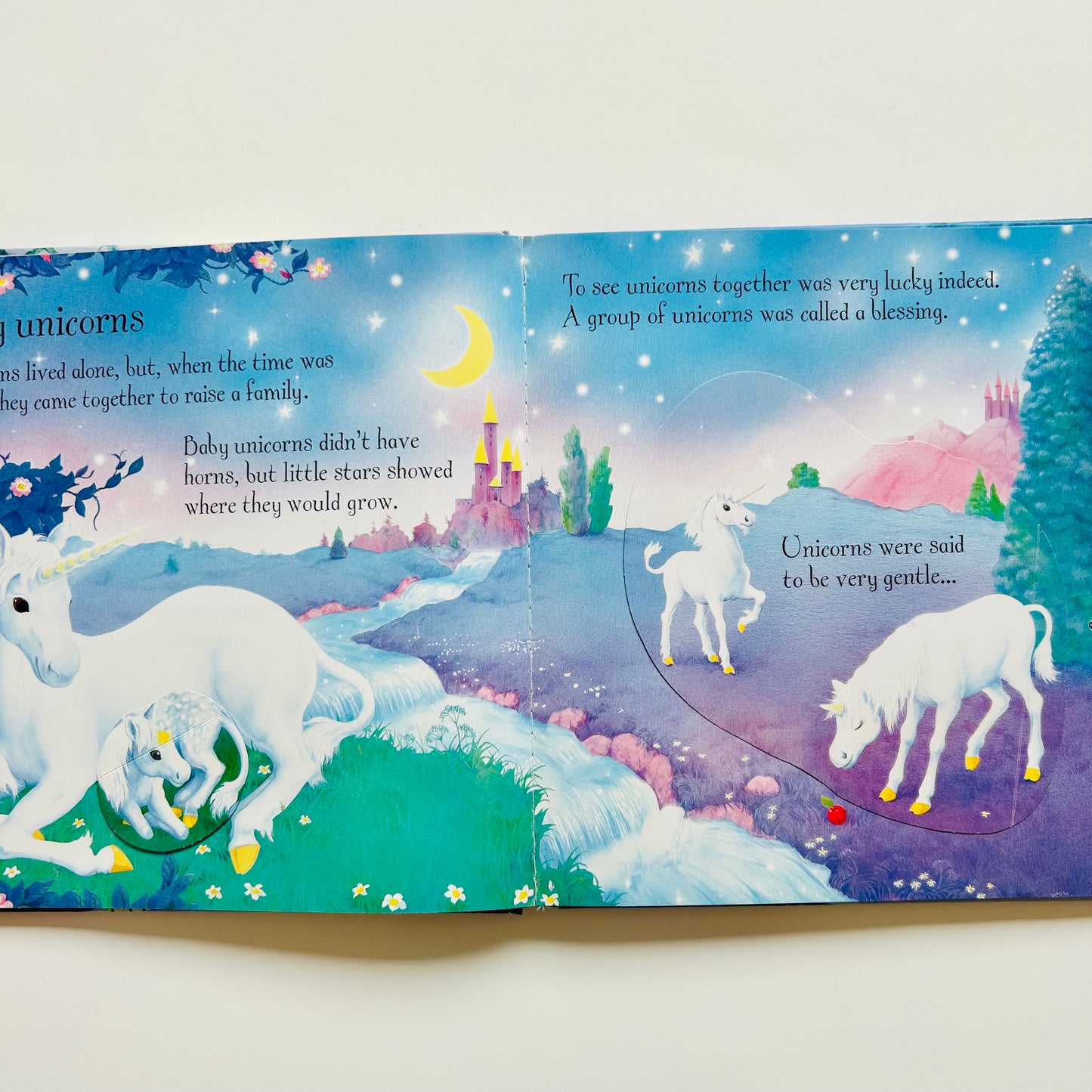 Usborne Lift-the-flap: Unicorns