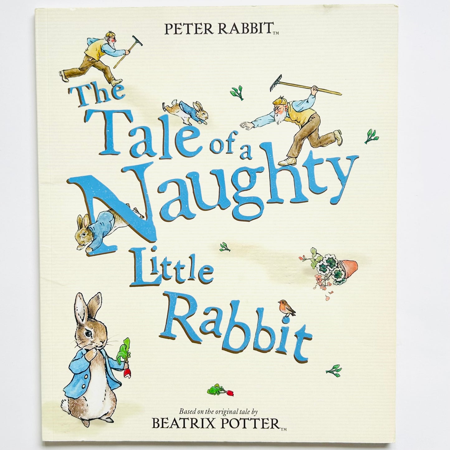 The Tale of a Naughty Little Rabbit