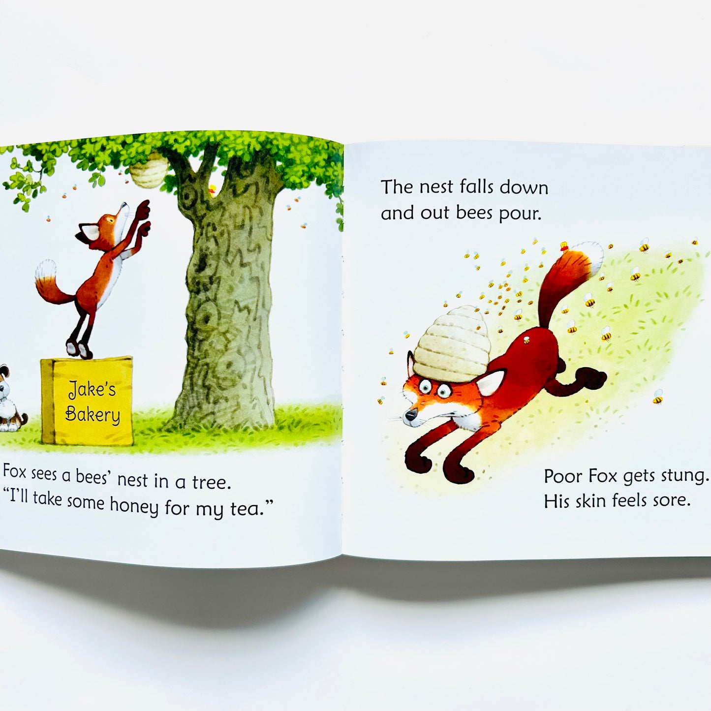 Usborne Phonics Story Collections: Fat Cat on a Mat and Other Tales