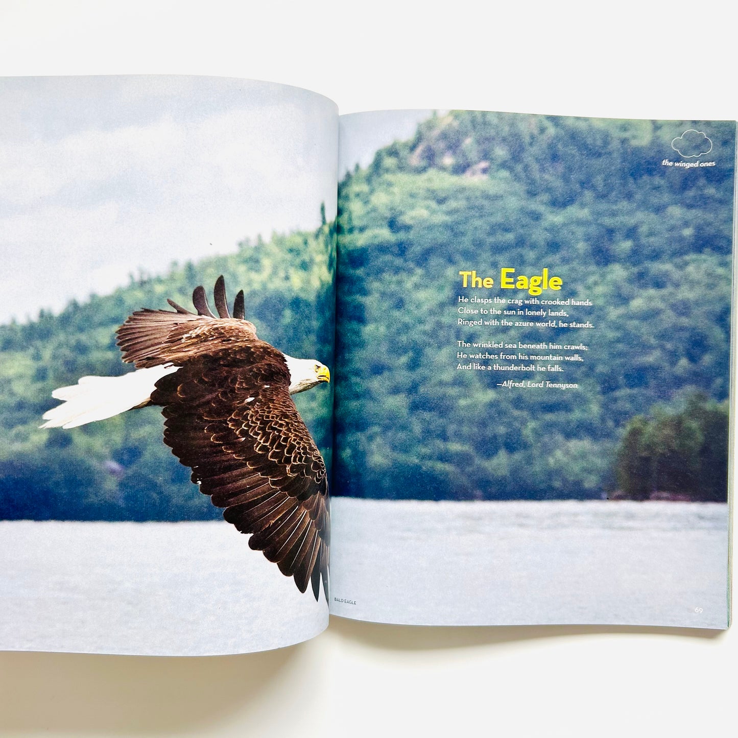 National Geographic Book of Animal Poetry