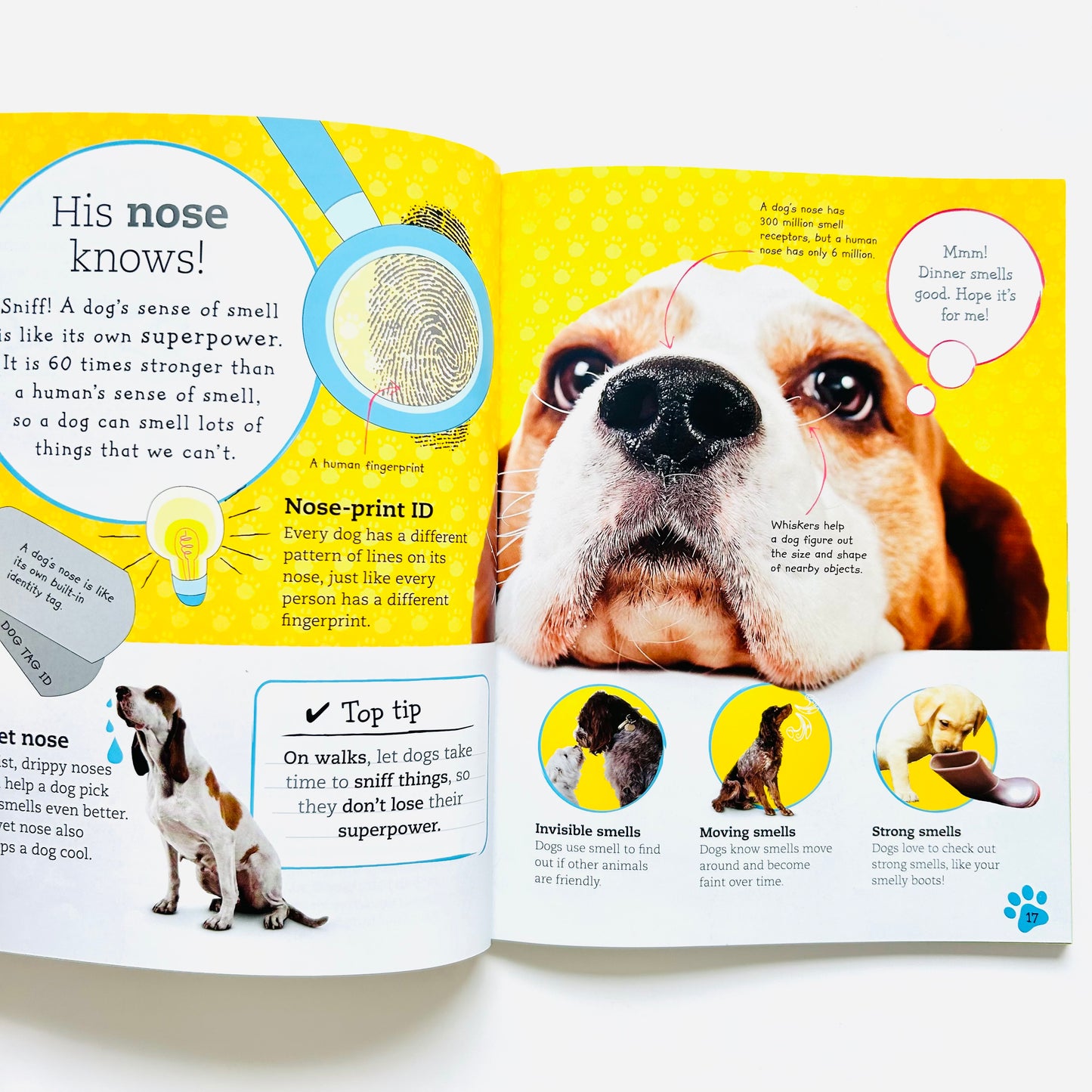 The Everything Book of Dogs and Puppies