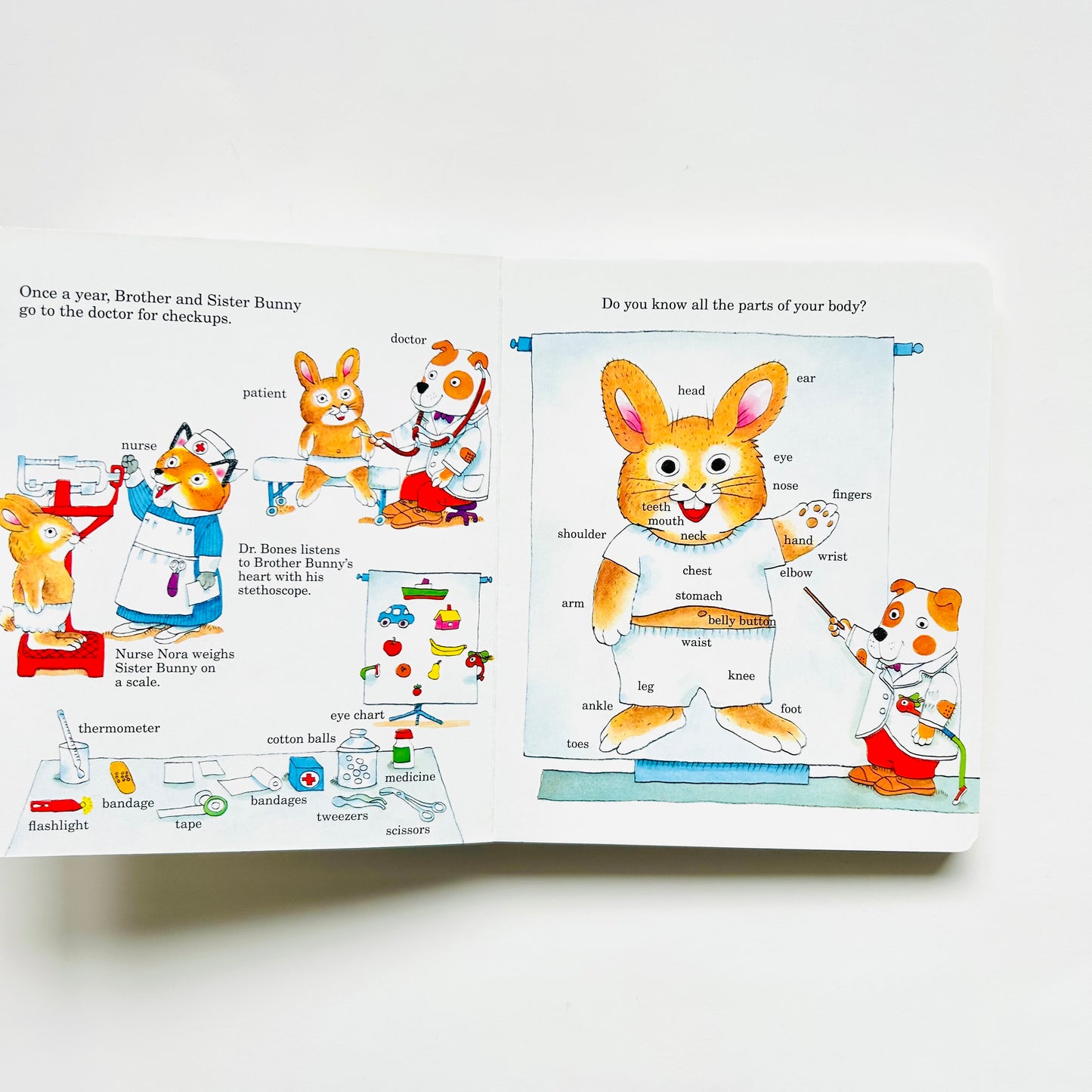 Richard Scarry's Just Right Word Book