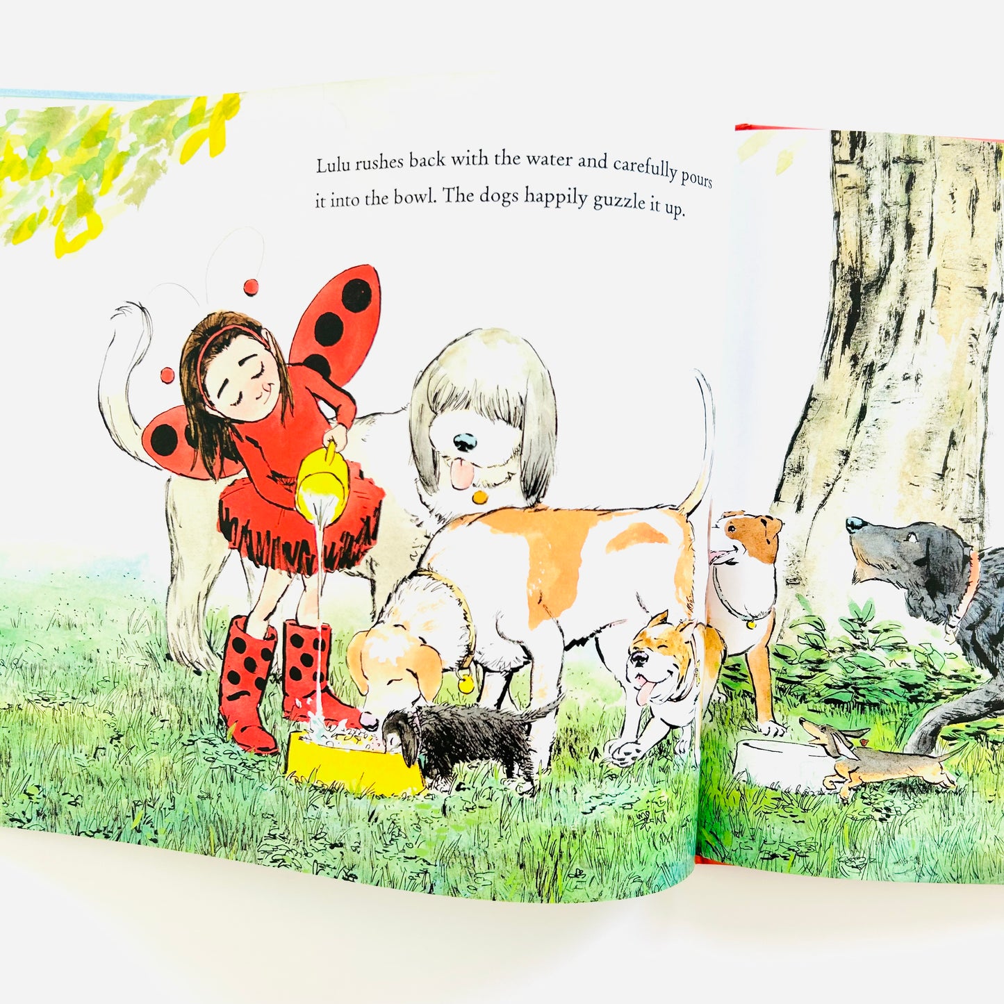 Ladybug Girl and the Rescue Dogs