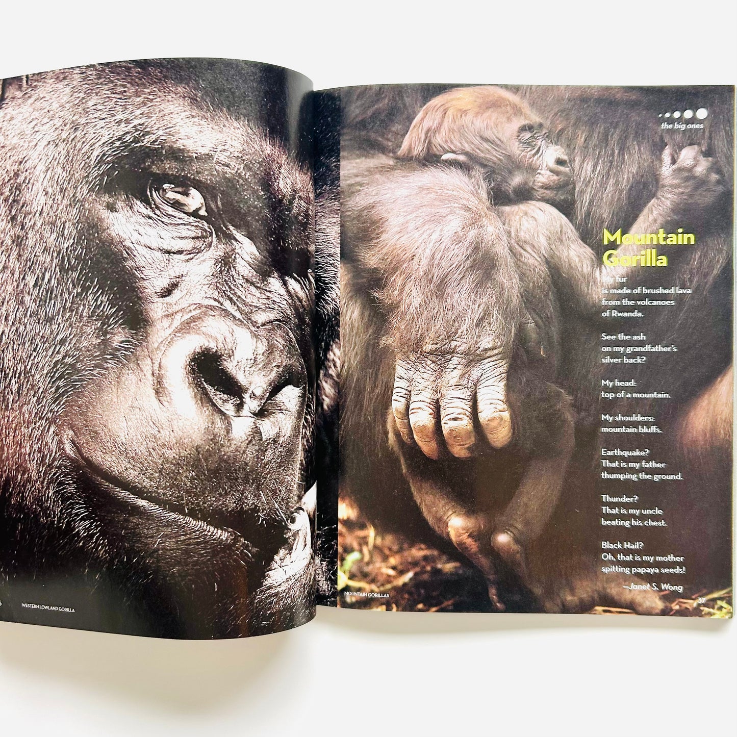 National Geographic Book of Animal Poetry