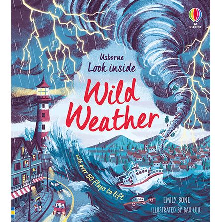 Usborne Look Inside Wild Weather